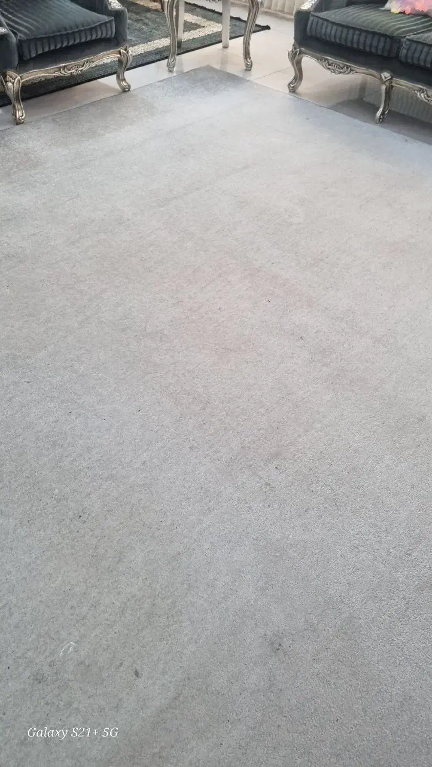 موکت پرز بلند|موکت|قدس, شهرقدس|دیوار