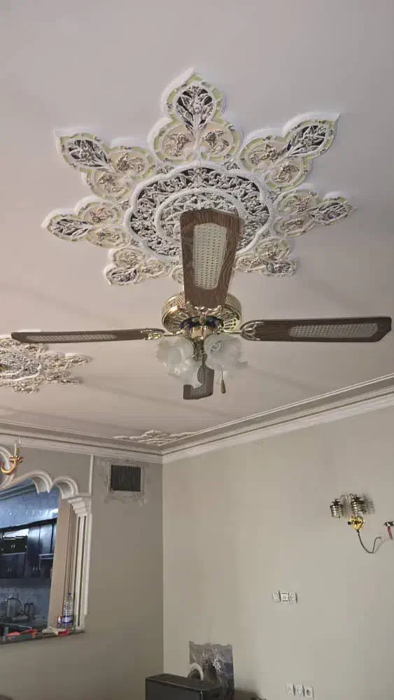 پنکه سقفی چوبی|پنکه و تصفیه‌کنندهٔ هوا|شیراز, گلشن|دیوار