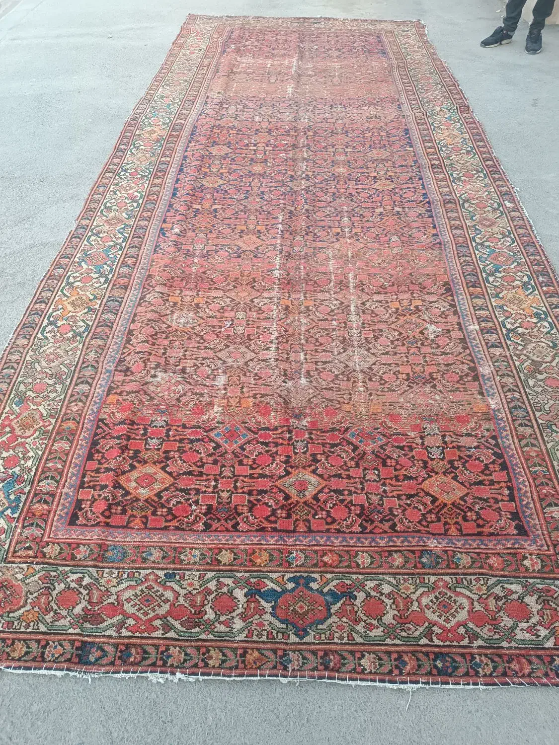 معامله فرش های کهنه دستبافت|فرش|اراک, |دیوار