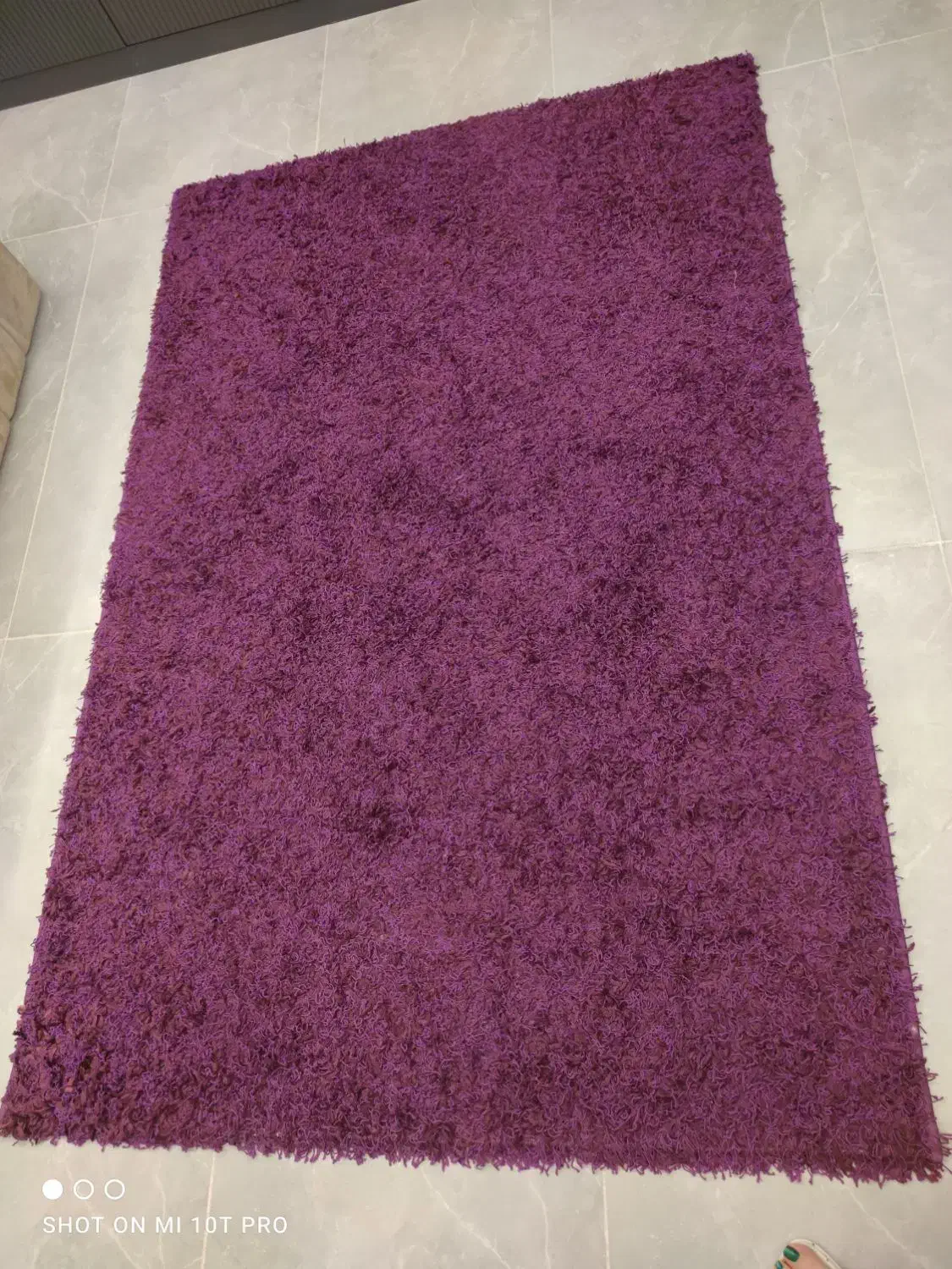 فرش فانتزی رنگ بنفش در حدنو|فرش|ارومیه, |دیوار