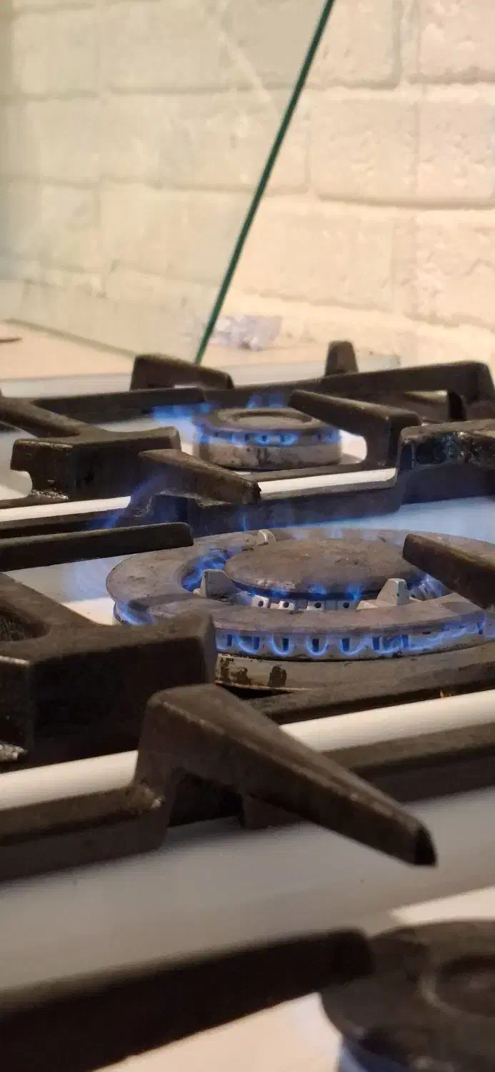 فرگاز ولگا|اجاق گاز و لوازم برقی پختوپز|باقرشهر, |دیوار