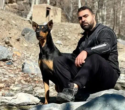 دوبرمن نر نسل کشی|سگ|مشهد, کارمندان دوم|دیوار