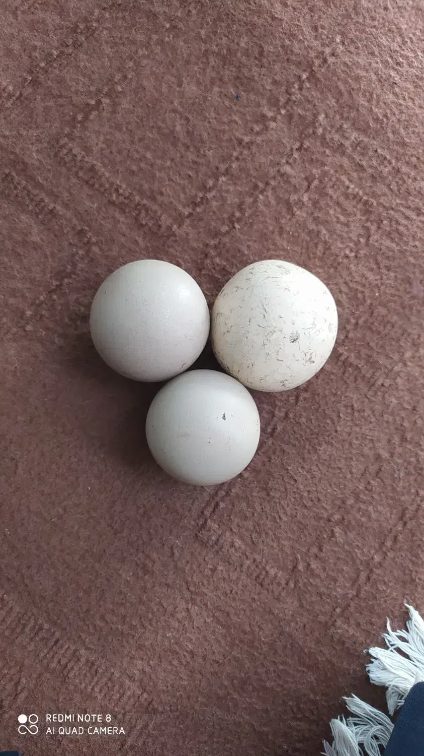 سنگ الماس اسیاب|کلکسیون اشیاء عتیقه|رفسنجان, |دیوار