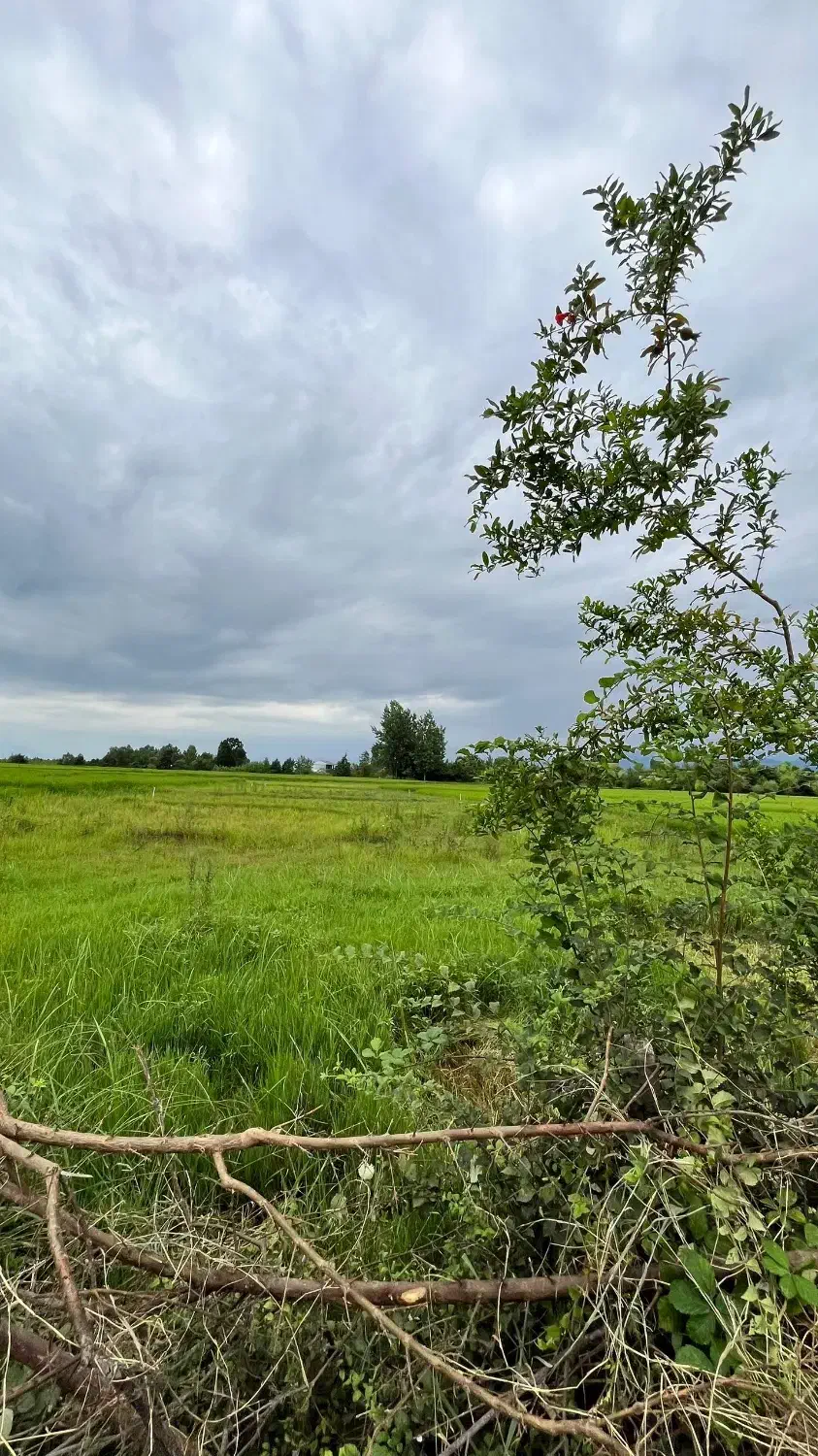 زمین بافت روستا داخل طرح هادی رضوانشهر|فروش زمین و ملک کلنگی|رضوانشهر, |دیوار