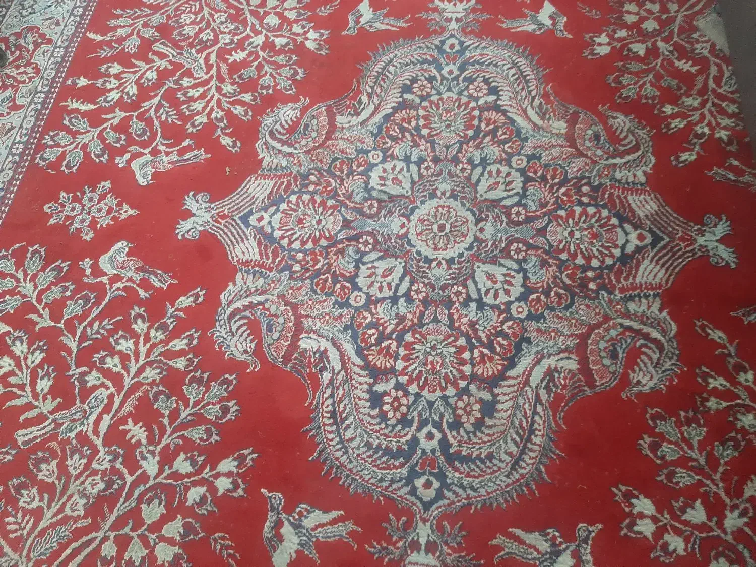 فرش ۱۲ متری|فرش|نشتارود, |دیوار