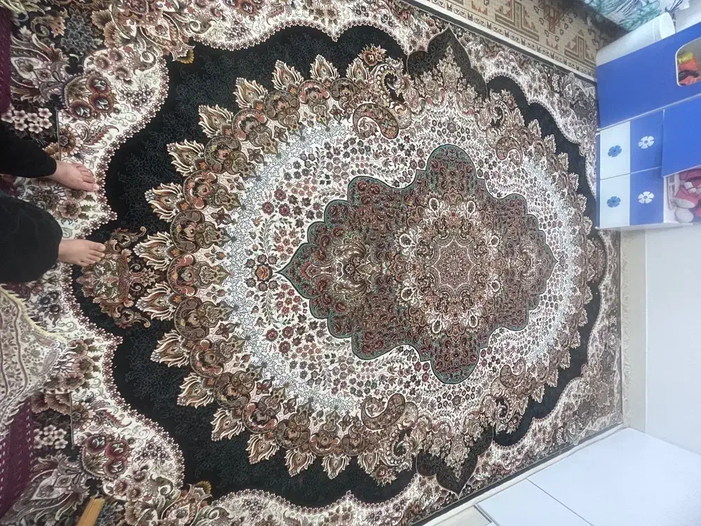 ۲ عدد فرش ۶ متری کاملا نو|فرش|قائن, |دیوار