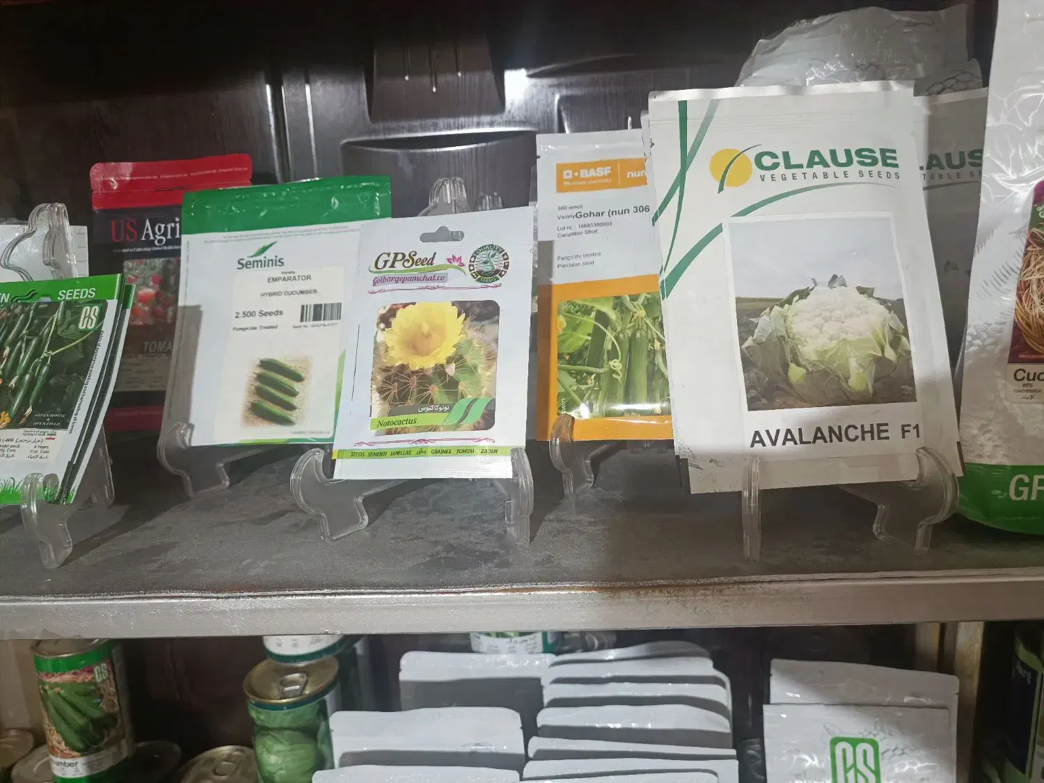 بذر|گل و گیاه طبیعی|ورامین, ورامین|دیوار