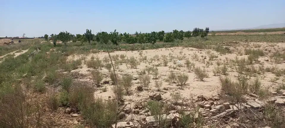 زمین ۵۰۰متری باغی ک نزدیک خیابان اصلیه|فروش زمین و ملک کلنگی|جوادآباد, |دیوار