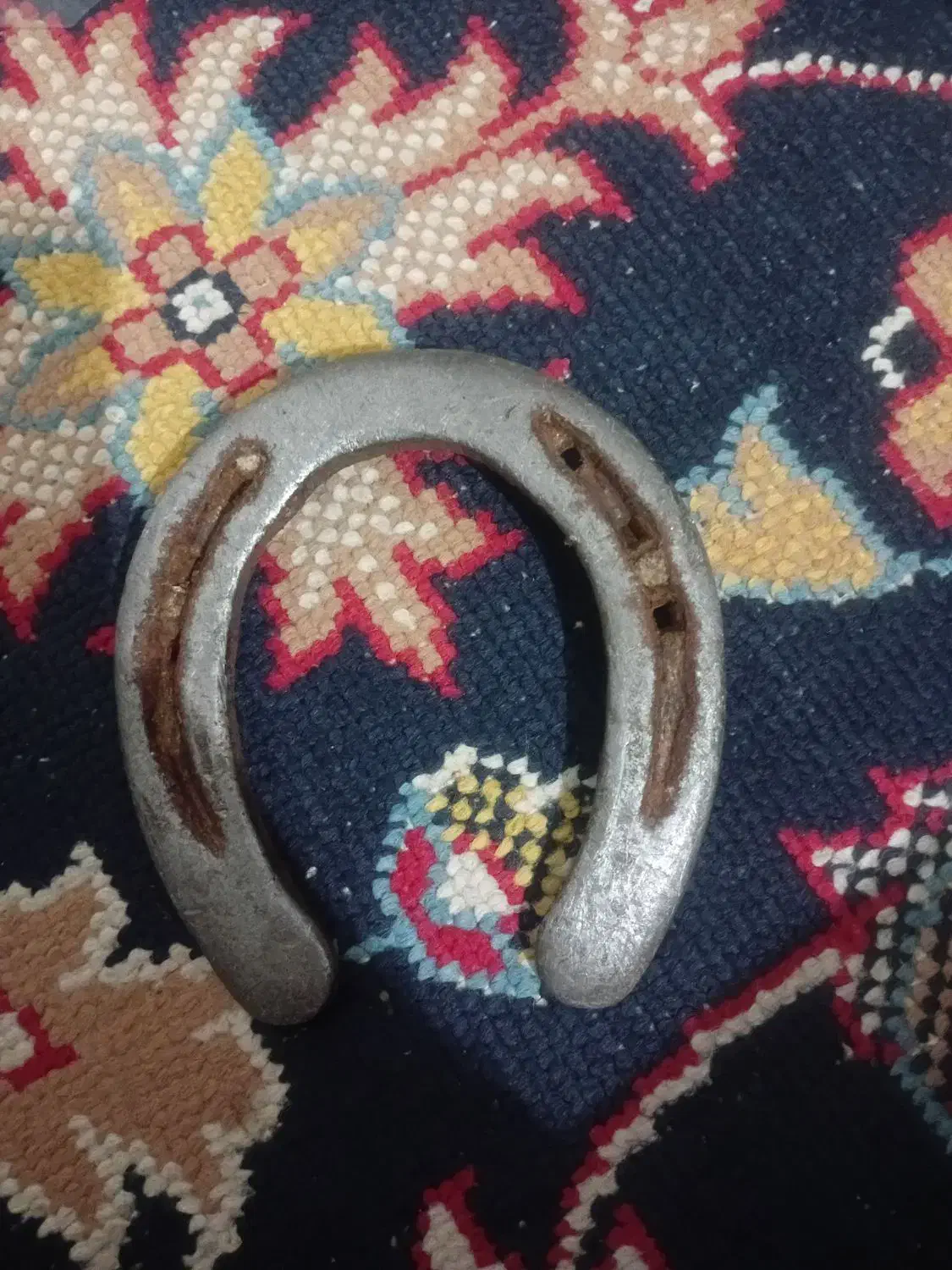 نعل اسب|اسب و تجهیزات اسبسواری|اسلامآباد غرب, |دیوار