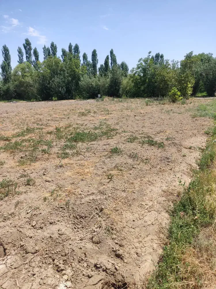 زمین کشاورزی با برق|فروش زمین و ملک کلنگی|نوشین شهر, |دیوار