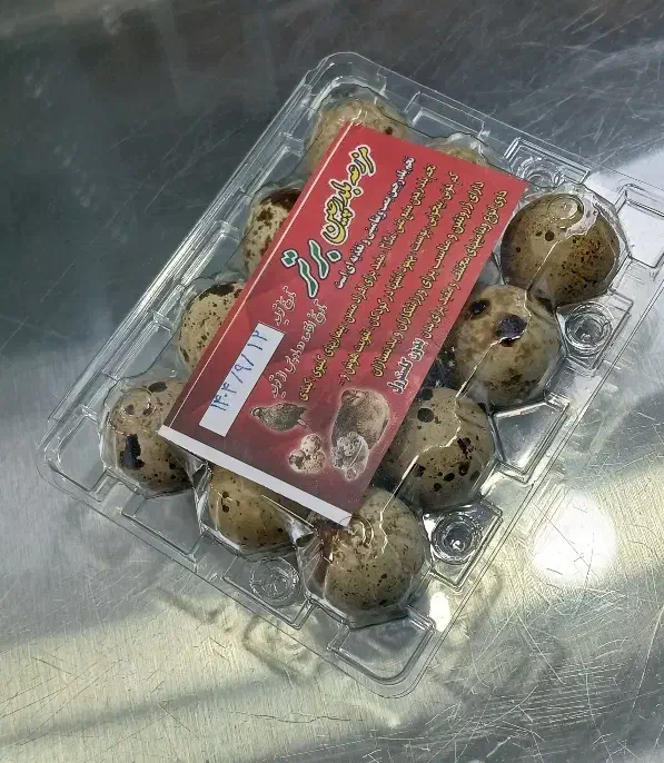 تخم بلدرچین فقط عمده|خوردنی و آشامیدنی|قرچک, میرزائی شمالی|دیوار