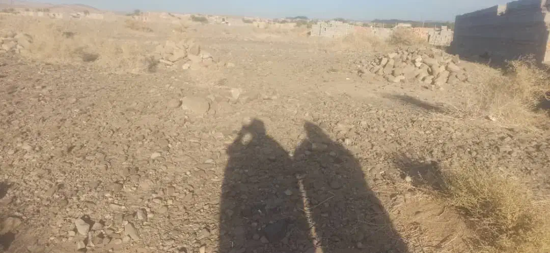 زمین فروشی|فروش زمین و ملک کلنگی|دامن, |دیوار