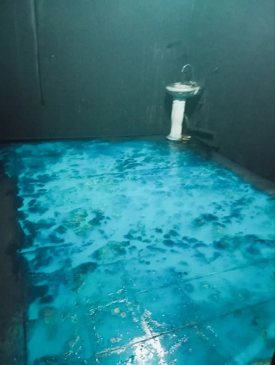 نقاشی ساختمان هرجای و هرچیزی|خدمات پیشه و مهارت|تربتحیدریه, ۴۵ متری|دیوار