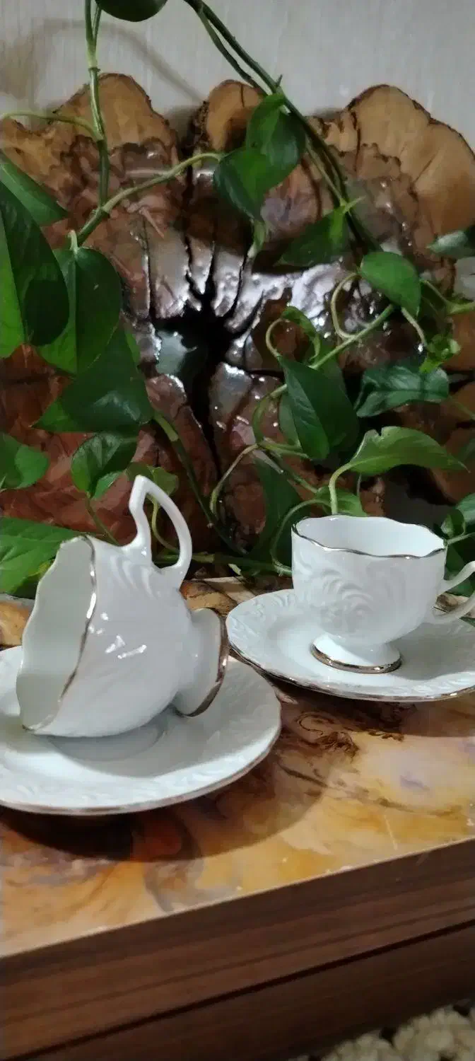 ظروف پذیرایی|ظروف سرو و پذیرایی|شاهرود, |دیوار