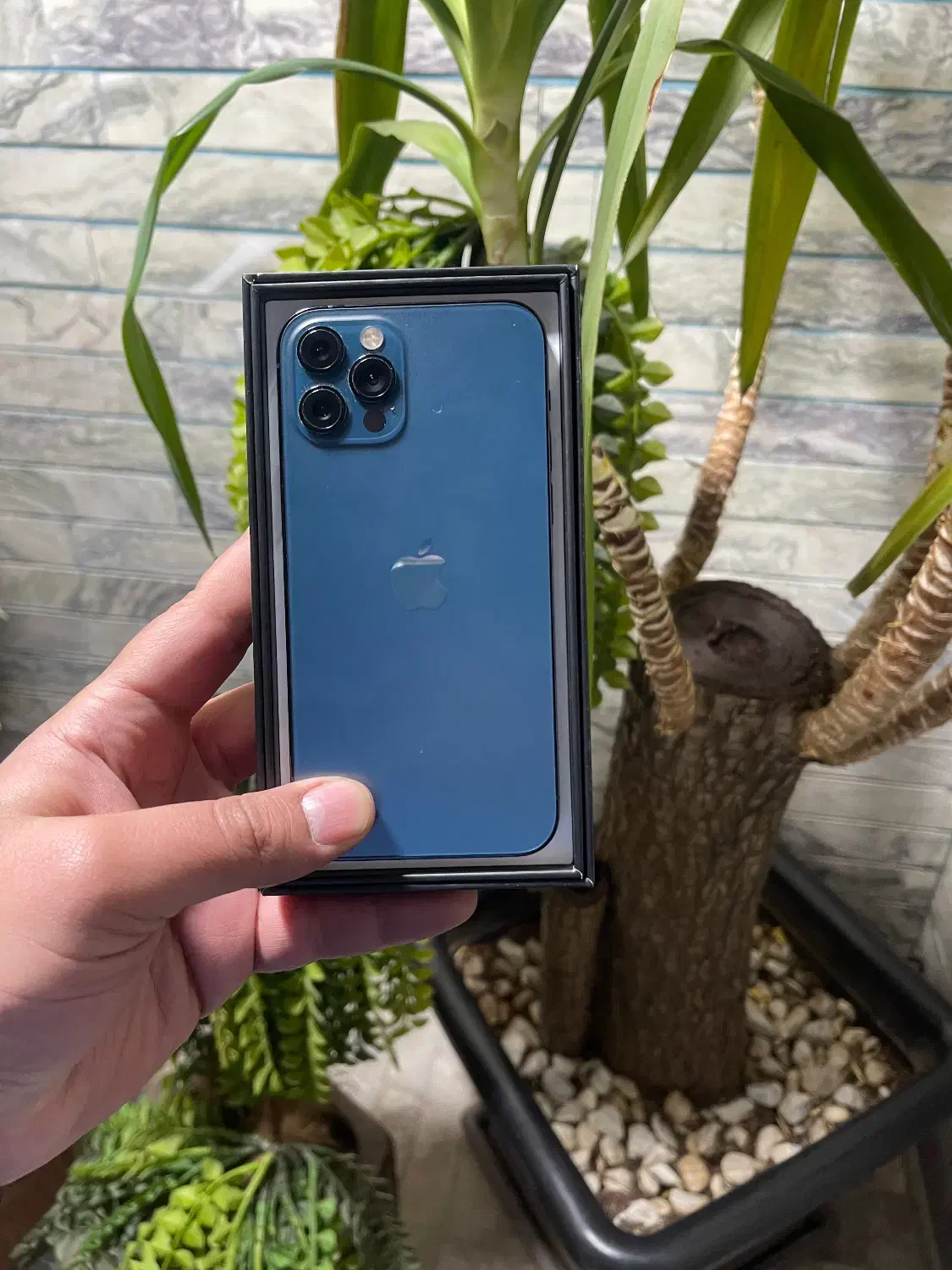 iPhone 12 Pro 256 zaa|موبایل|تهران, قناتکوثر|دیوار