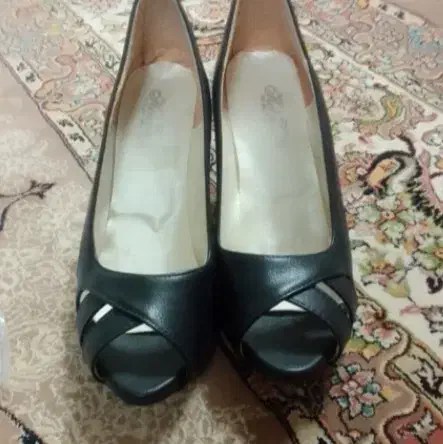 کفش مجلسی وکفش طبی نو کیف|کیف، کفش، کمربند|قم, هفت تیر|دیوار