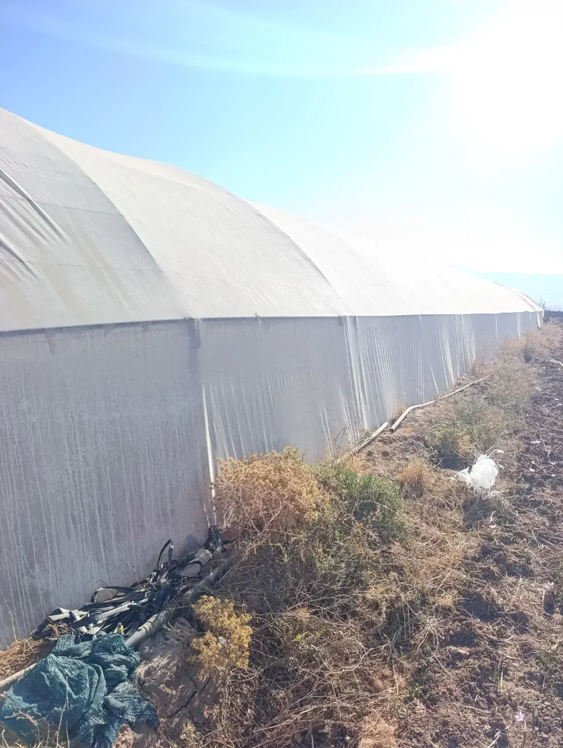 فروش گلخانه 500 متری گالوانیزه|مصالح و تجهیزات ساختمان|نصر آباد, |دیوار