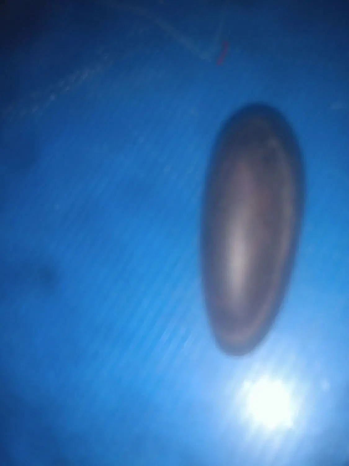 سنگ زیینتی|کلکسیون اشیاء عتیقه|زرند, |دیوار