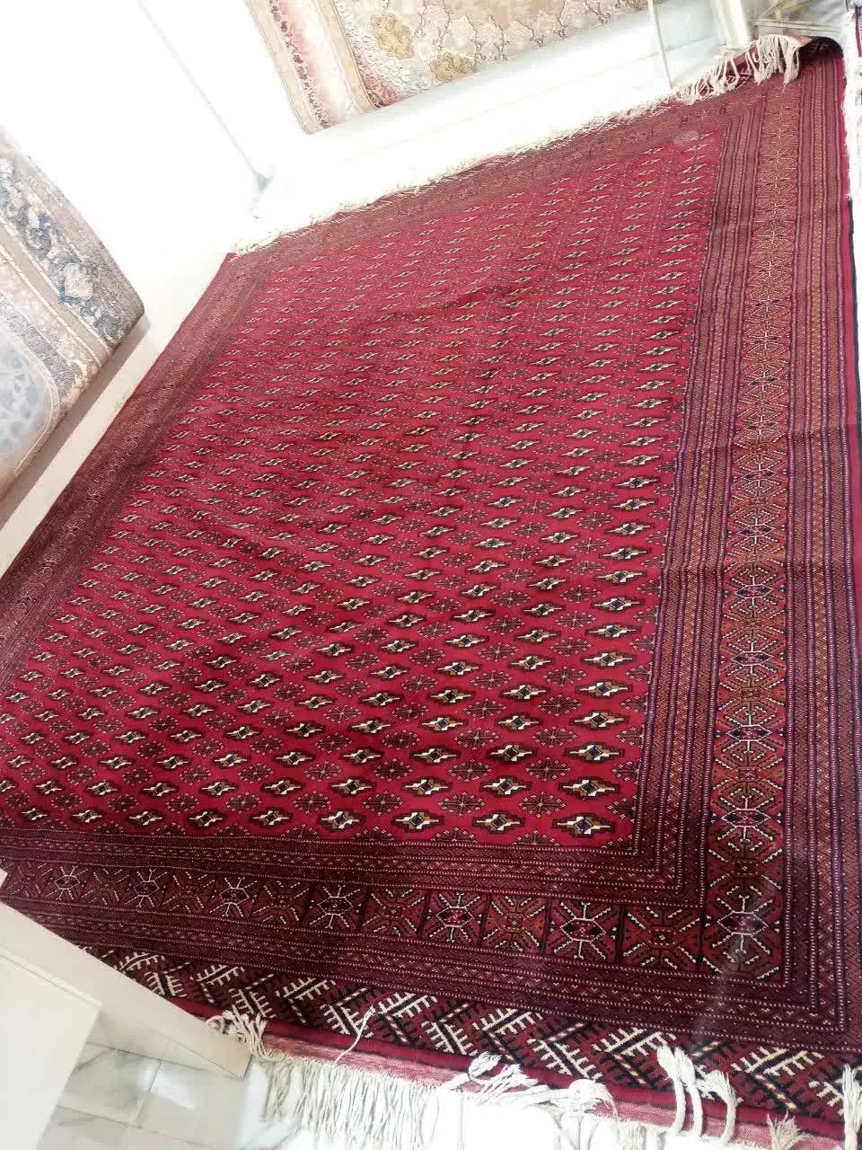 فرش دستبافت|فرش|بیرجند, |دیوار