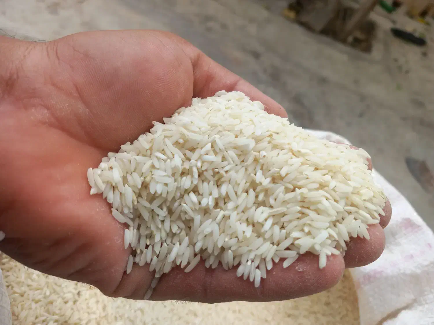 برنج دم سیاه|خوردنی و آشامیدنی|چگنی, |دیوار