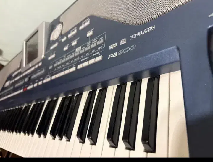 pa800 korg|پیانو، کیبورد، آکاردئون|مشهد, هنرستان|دیوار