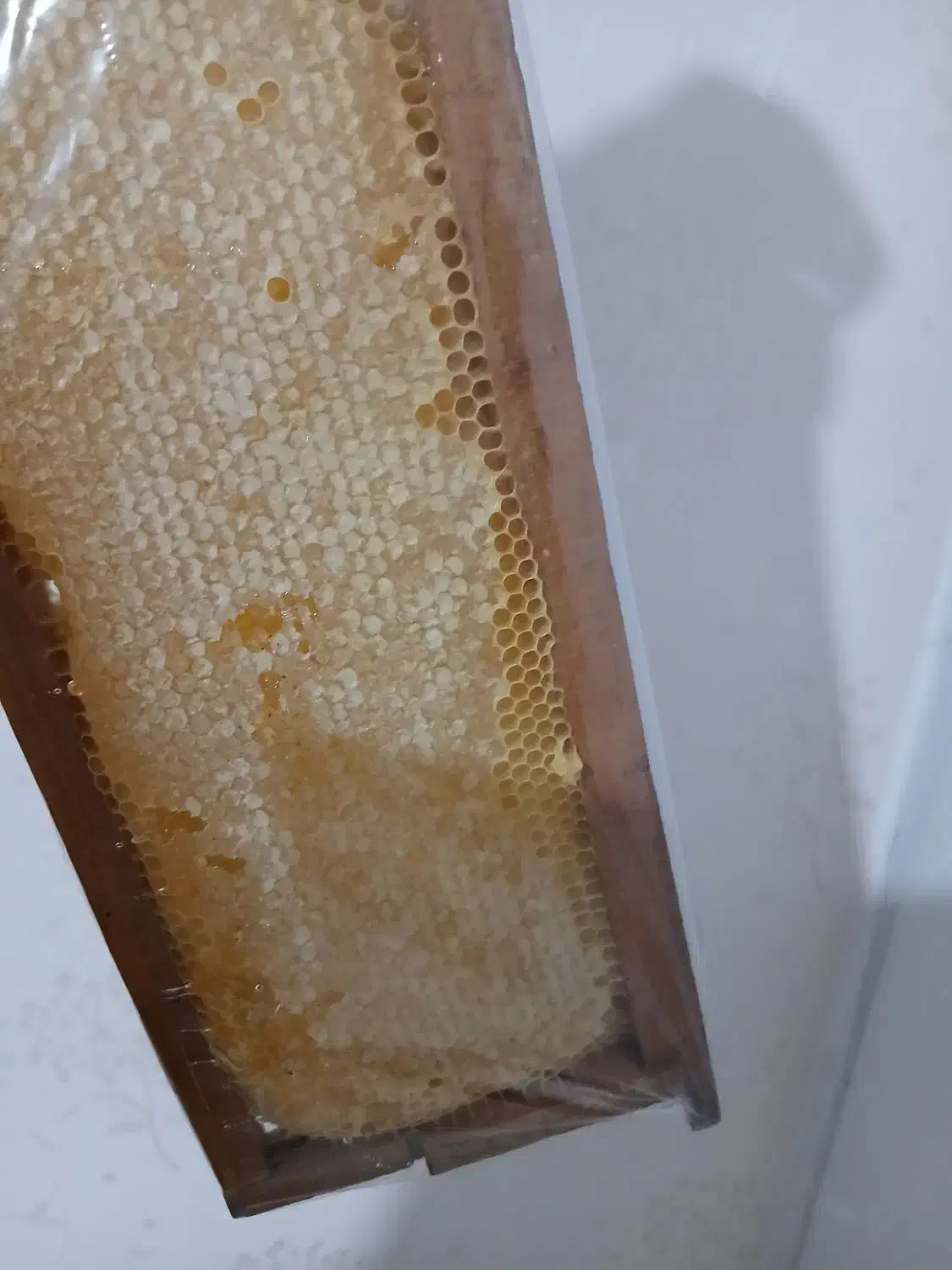 تک عسل طبیعی ارزنق|خوردنی و آشامیدنی|سراب, |دیوار