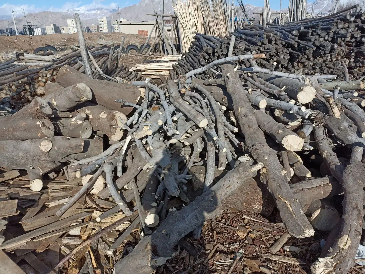 خریدار چوب انجیر  کیلویی۱۰هزار|خدمات باغبانی و درختکاری|خرم‌آباد, |دیوار