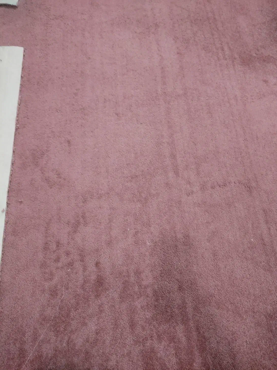 موکت پالاززیبا|موکت|بیرجند, |دیوار