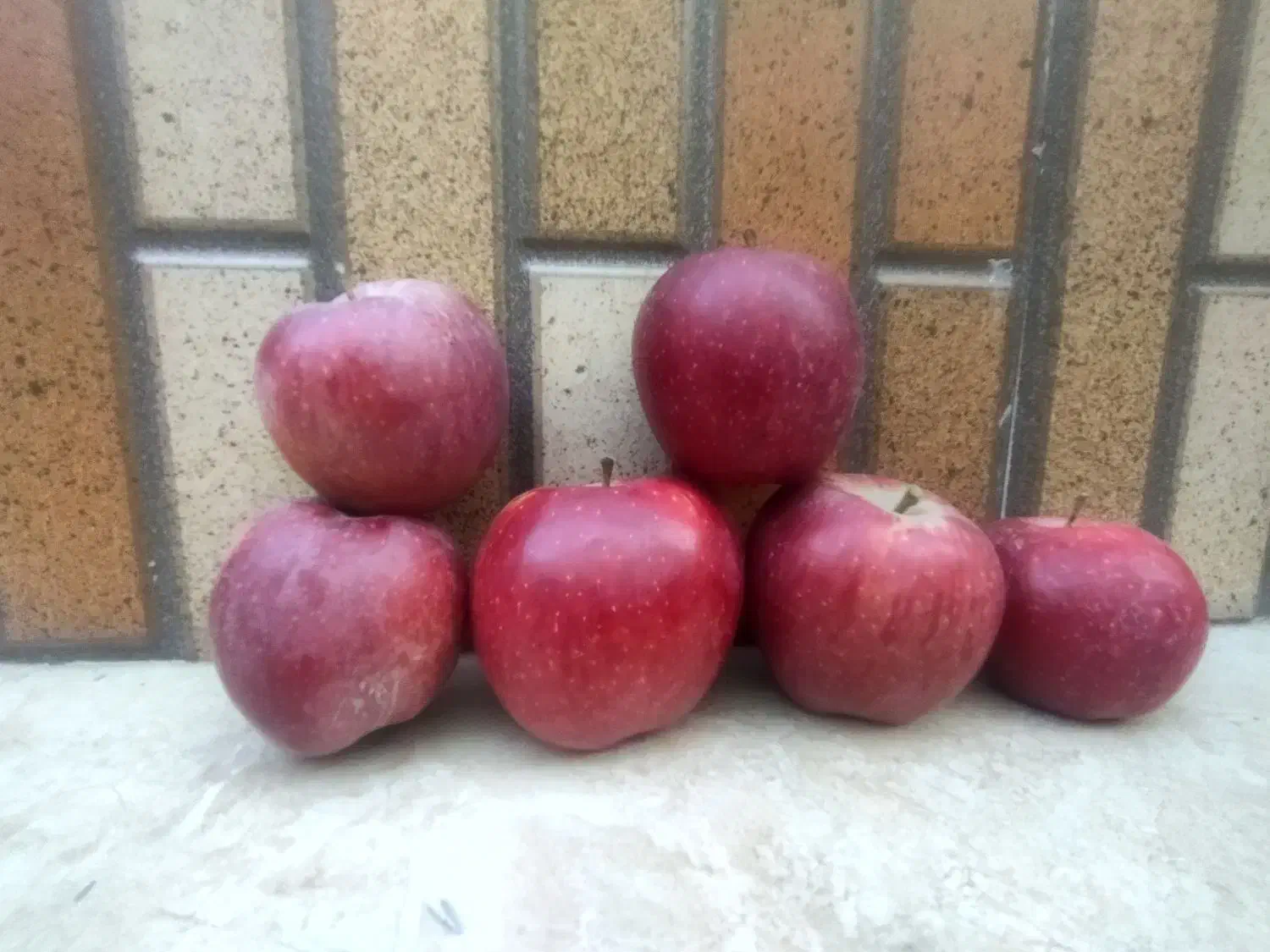 بازاریاب خانم در اهواز برای جذب مشتری عراقی (سیب)|استخدام بازاریابی و فروش|اهواز, ۲۰۰۰واحدی|دیوار
