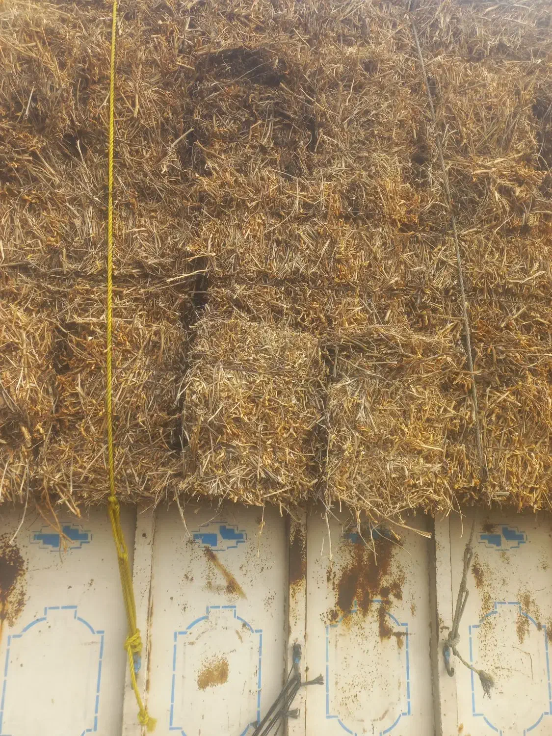 فروش کاه لوبیا کاه شالی|عمده‌فروشی|نکا, |دیوار