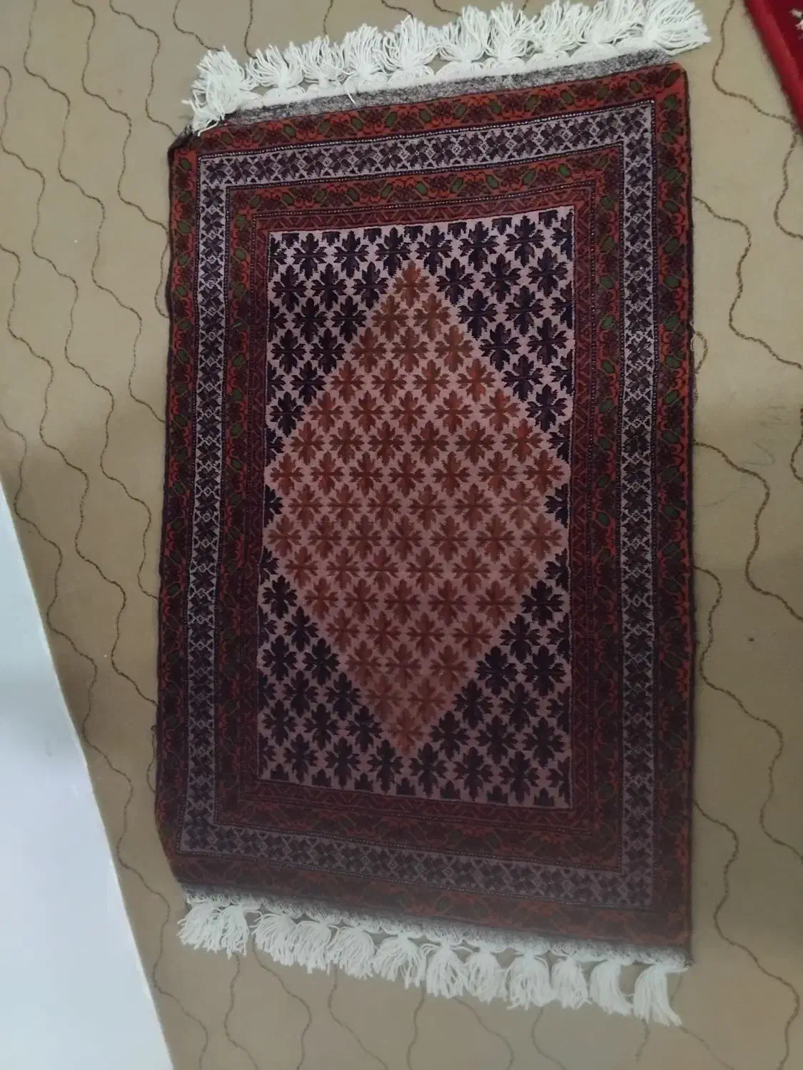 قالیچه دست بافت وغیره ... ورق بزنید|گلیم، جاجیم، گبه|تربت جام, میان جام|دیوار