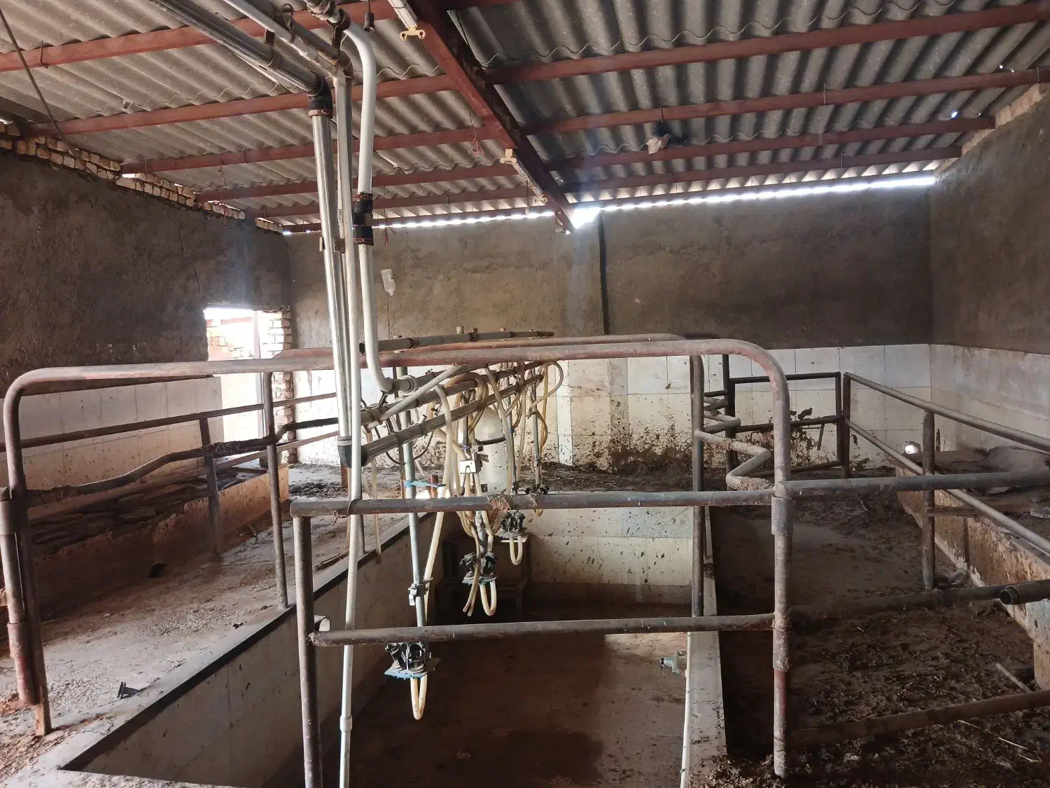 گاوداری ۲ هزار متری ،جهت مصارف صنعتی|فروش دفتر صنعتی، کشاورزی، تجاری|اصفهان, قلعه نو|دیوار