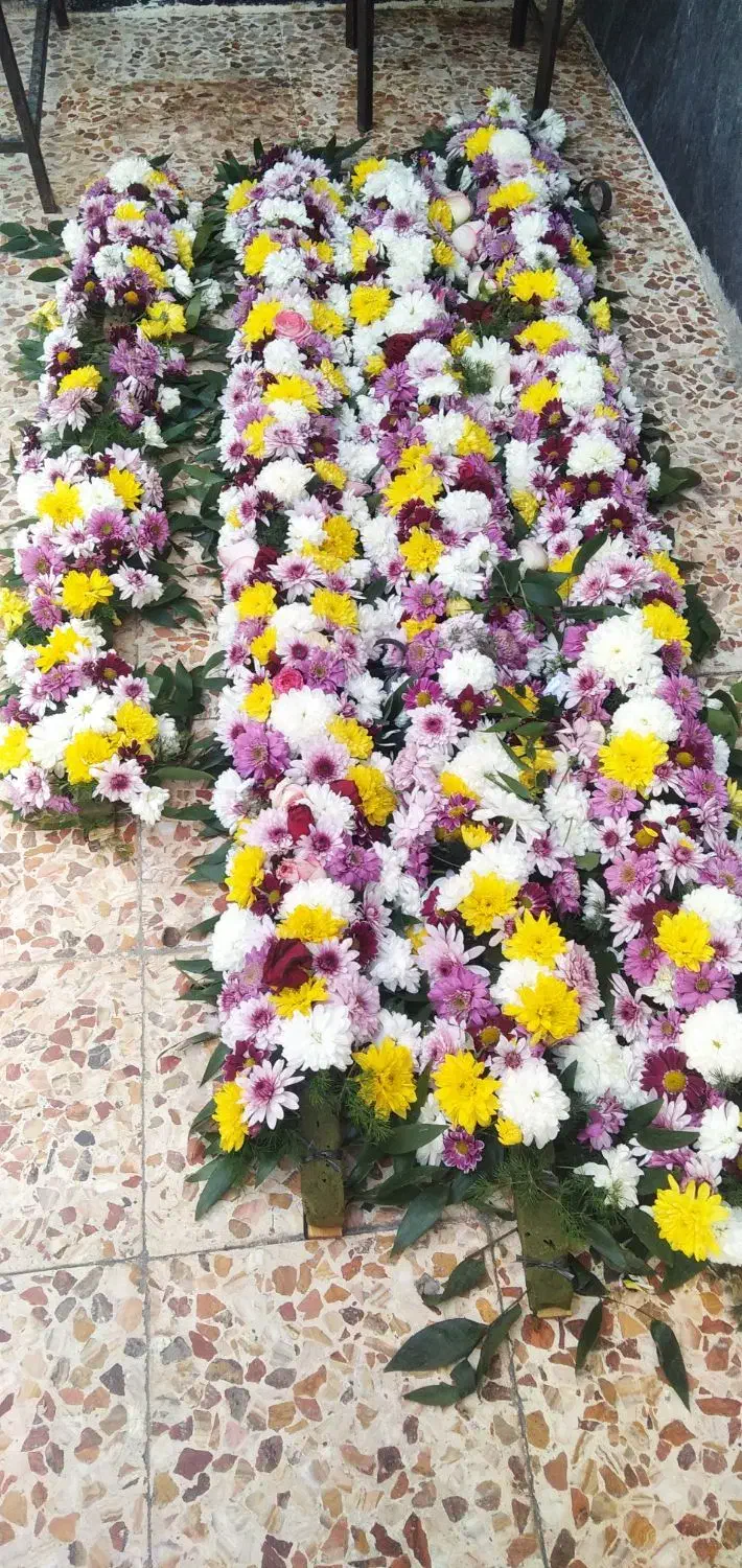 گل طبیعی|گل و گیاه طبیعی|خرم‌آباد, |دیوار