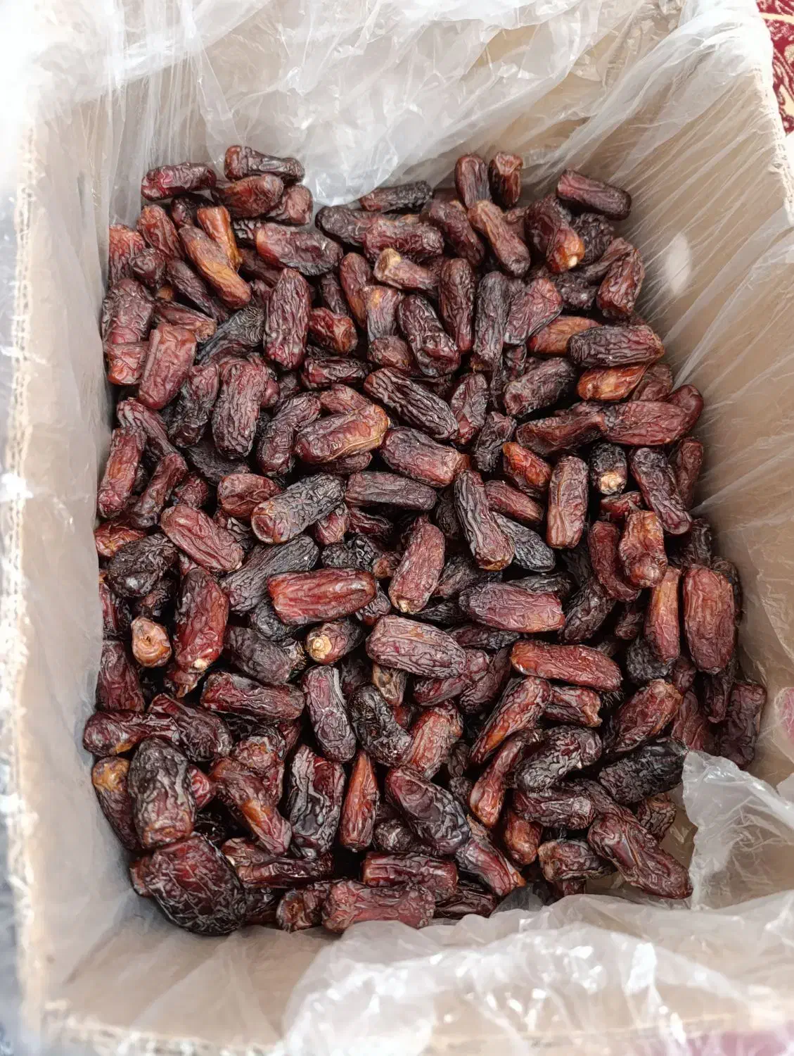 پیارم فقط 250|خوردنی و آشامیدنی|بندرعباس, |دیوار