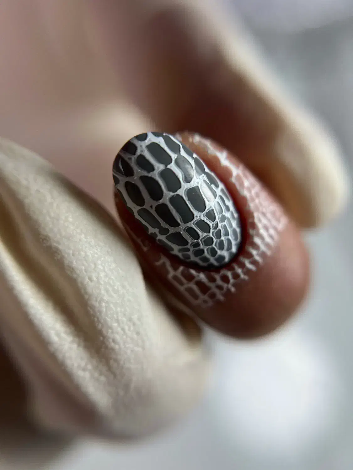 آموزش کاشت ناخن رایگان|خدمات آموزشی|بندر انزلی, شاکوچه|دیوار