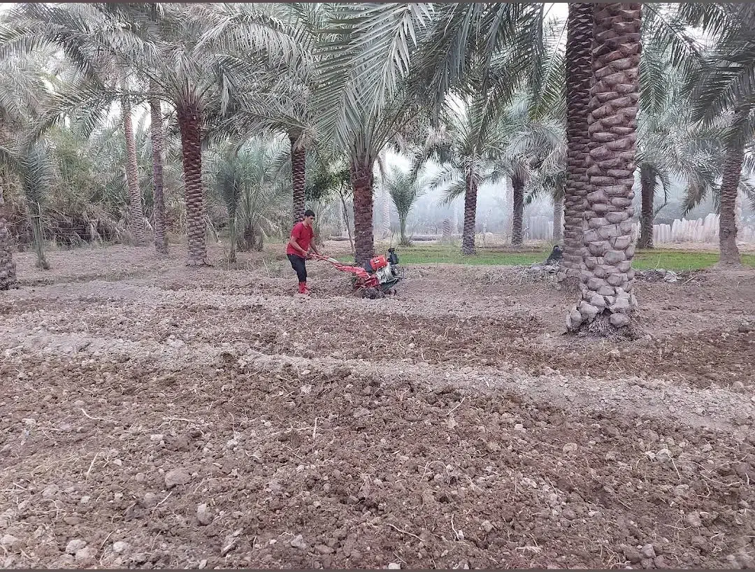 باغبانی بهار|خدمات باغبانی و درختکاری|آبادان, |دیوار