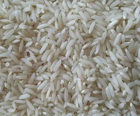 برنج طارم هاشمی درجه ۱ شمال|خوردنی و آشامیدنی|کرج, فاز ۵ مهرشهر|دیوار