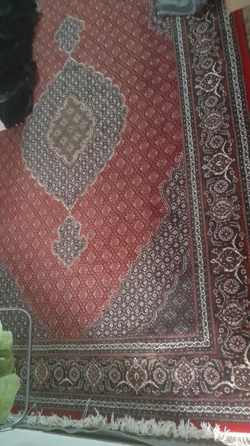 فروش فرش|فرش|سارال, |دیوار