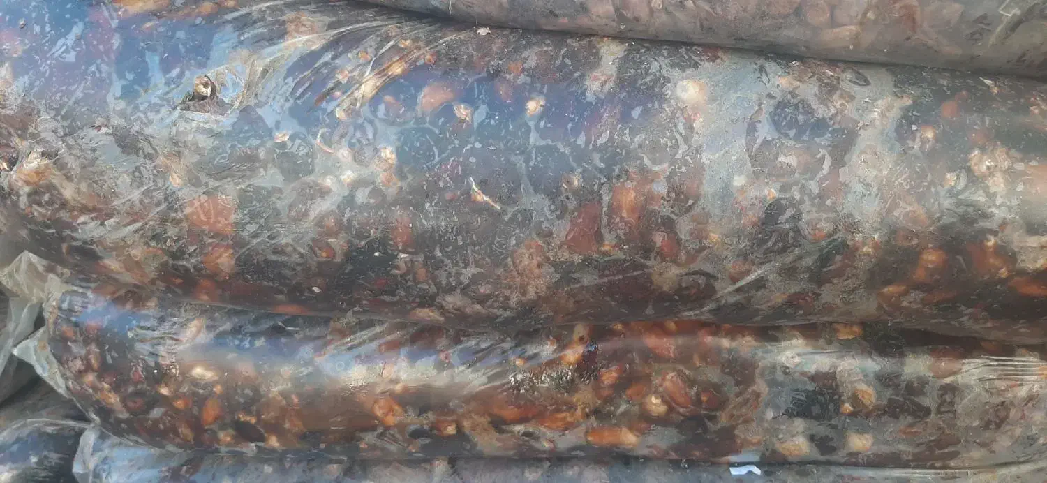 خرما|خوردنی و آشامیدنی|مرودشت, شهرک مهدیه|دیوار