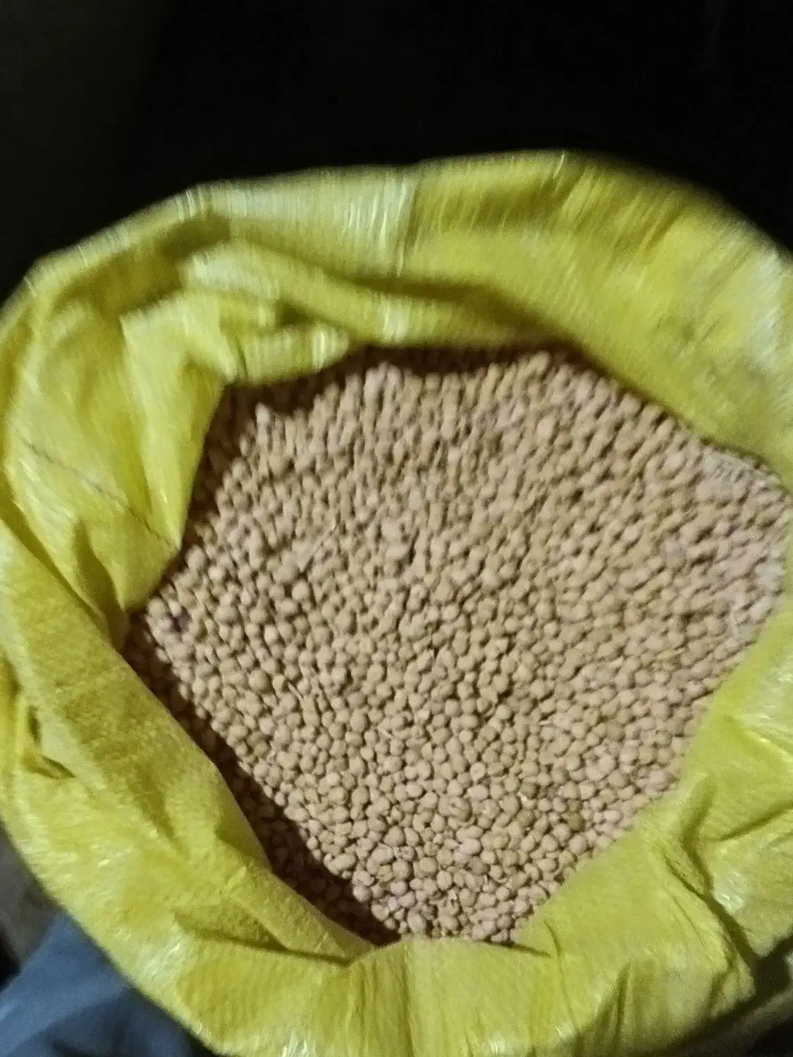 نخود دیم|خوردنی و آشامیدنی|تایباد, |دیوار