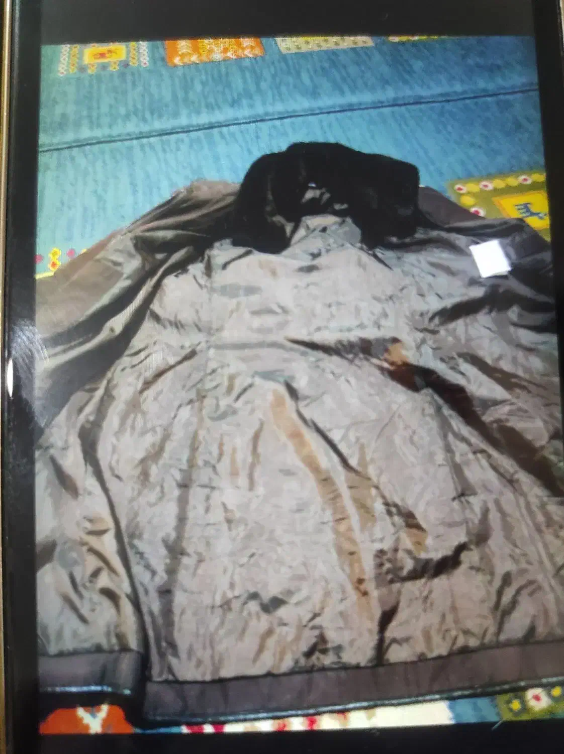 پالتو|لباس|تهران, گرگان|دیوار