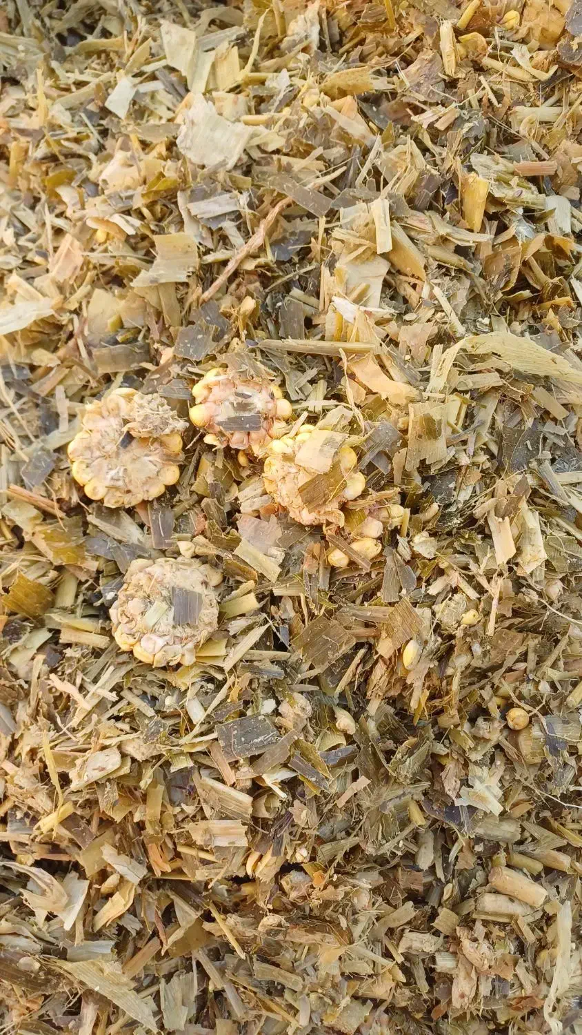 ذرت علوفه ای|لوازم جانبی حیوانات|خاش, |دیوار