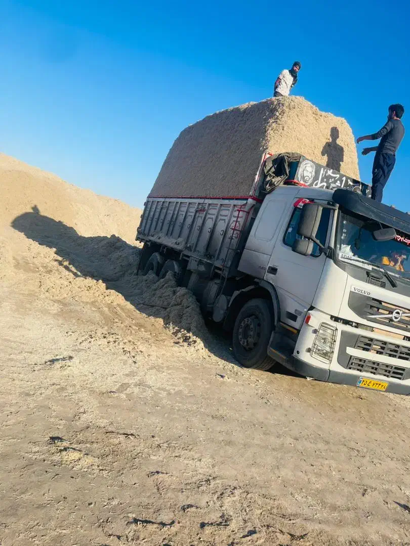 فروش ویژه باگاس کاه فله|لوازم جانبی حیوانات|کرمان, |دیوار