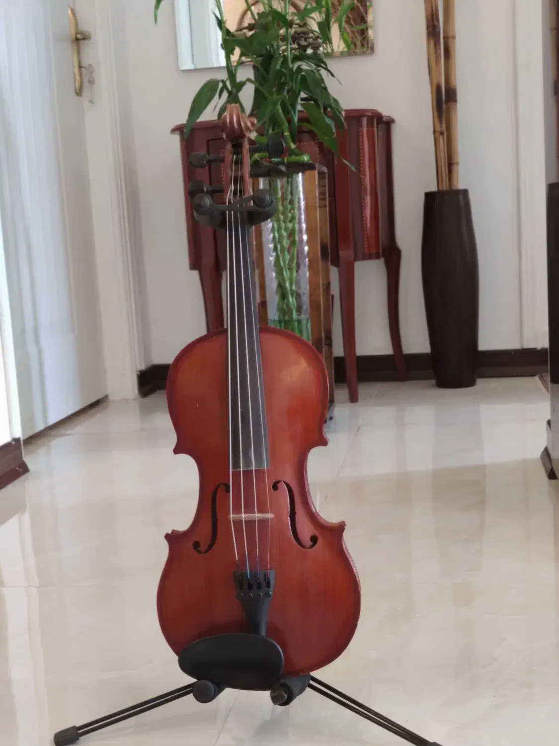 رناتو 120دسته|ویولن|بابل, |دیوار