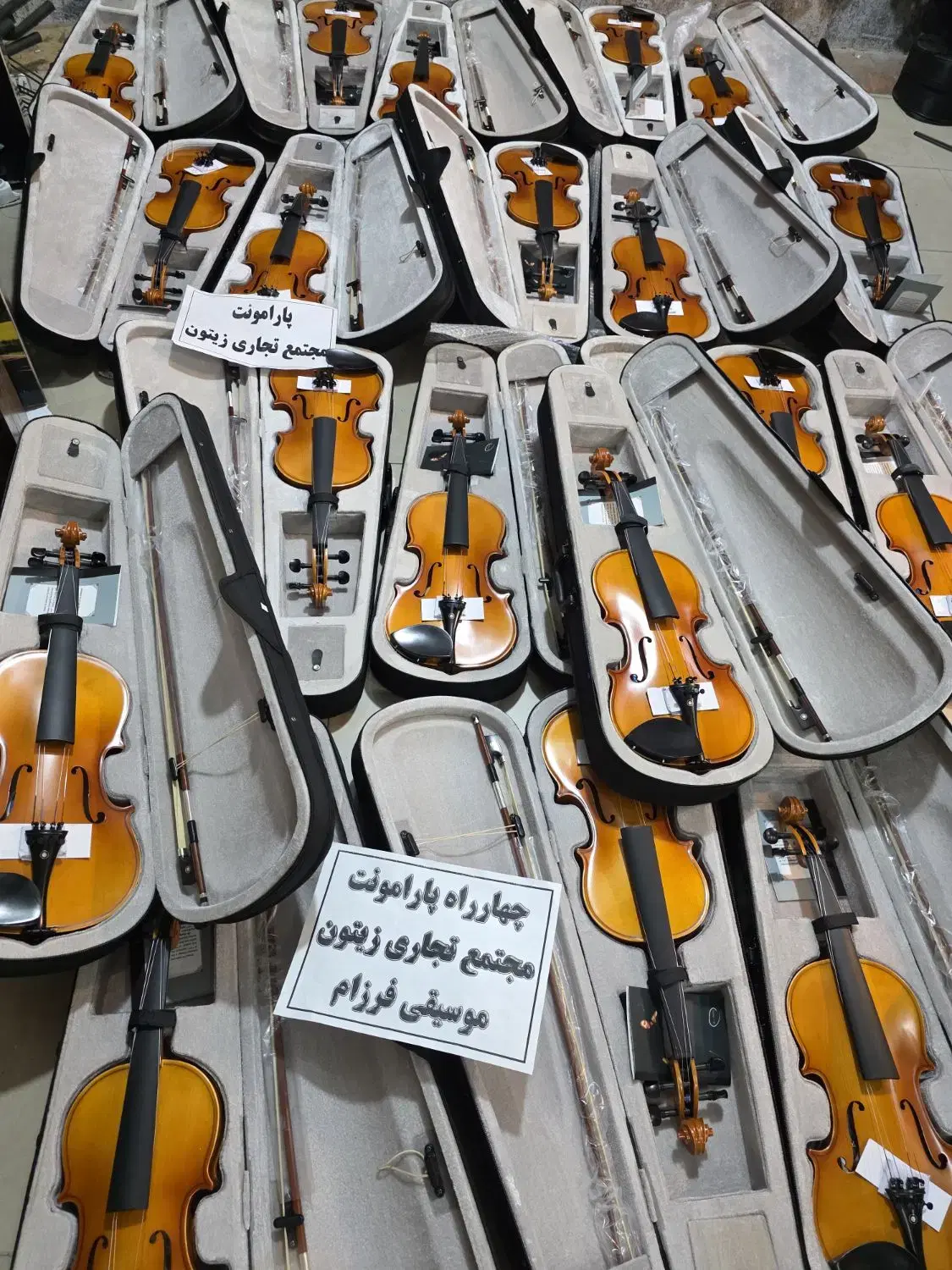 ویولن tf 142 (خرید فروش معاوضه آموزش)|ویولن|شیراز, سینما سعدی|دیوار