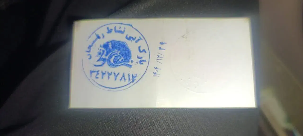 بلیط مهمان ویژه پارک آبی نشاط|بلیت ورزشی|رفسنجان, |دیوار