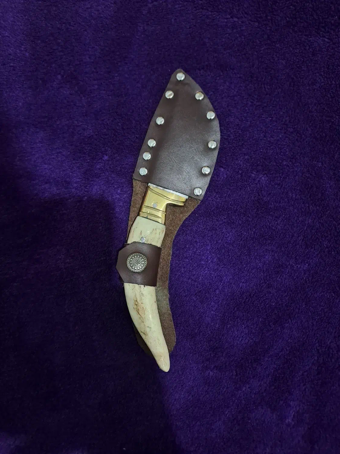 چاقو دسته شاخ|کوهنوردی و کمپینگ|گرگان, |دیوار