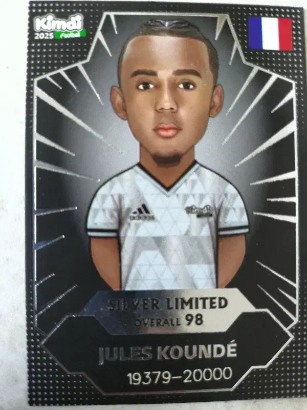 کارت کیمدی سیلور لیمیتد|اسباببازی|اردکان, |دیوار