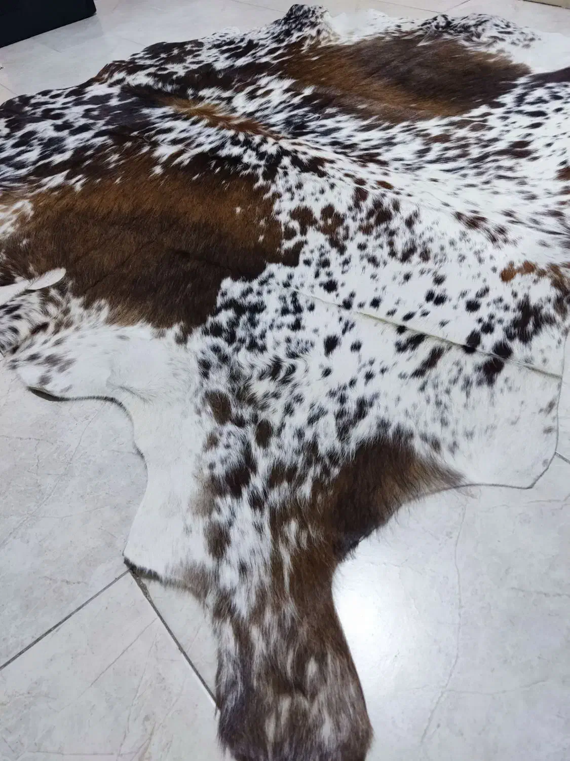 پوست طبیعی گاوی نو|گلیم، جاجیم، گبه|نسیمشهر, |دیوار