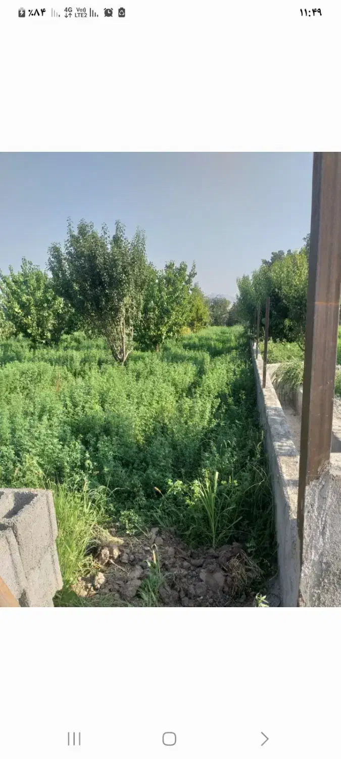 باغ نقلی ۵۴۵ متر باسند تک برگ نیم دانگ|فروش زمین و ملک کلنگی|ایواوغلی, |دیوار